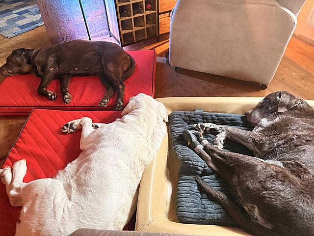 Klicke auf die Grafik für eine vergrößerte Ansicht

Name: IMG_3664.jpg
Ansichten: 55
Größe: 127,9 KB
ID: 1204122