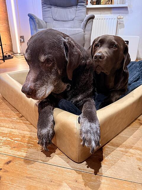 Klicke auf die Grafik für eine vergrößerte Ansicht

Name: IMG_3629.jpg
Ansichten: 55
Größe: 128,1 KB
ID: 1204126