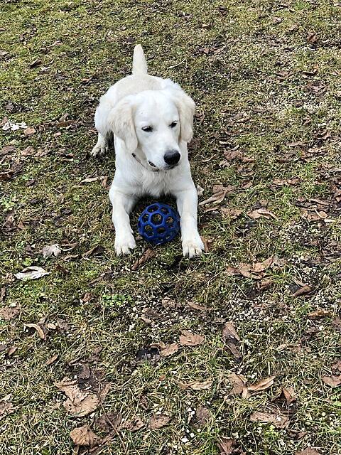 Klicke auf die Grafik für eine vergrößerte Ansicht  Name: IMG_4117.jpg Ansichten: 128 Größe: 362,6 KB ID: 1204456