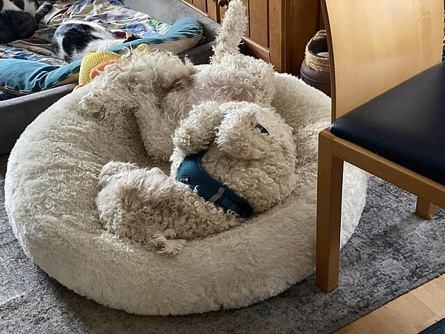 Klicke auf die Grafik für eine vergrößerte Ansicht  Name: IMG_0914.jpg Ansichten: 95 Größe: 137,3 KB ID: 1204459