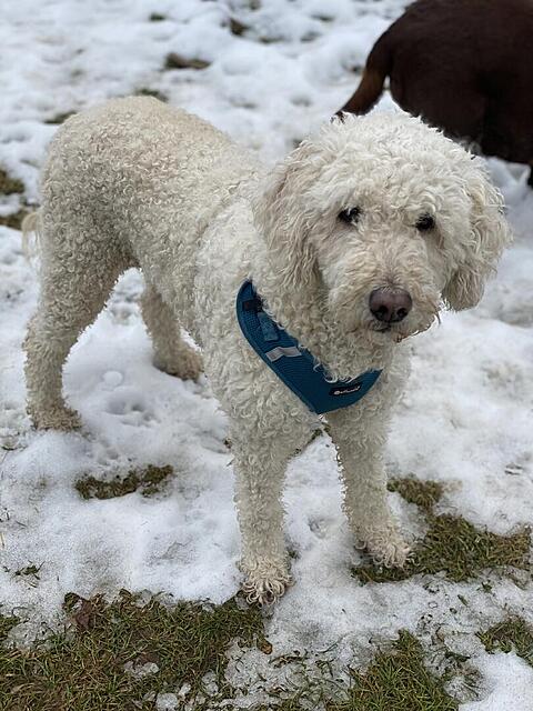 Klicke auf die Grafik für eine vergrößerte Ansicht  Name: IMG_0913.jpg Ansichten: 89 Größe: 130,1 KB ID: 1204461