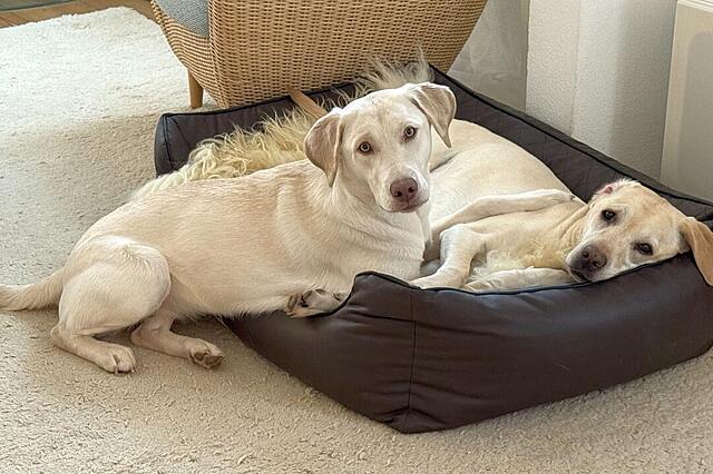 Klicke auf die Grafik für eine vergrößerte Ansicht  Name: IMG_1376.jpg Ansichten: 33 Größe: 113,5 KB ID: 1204489