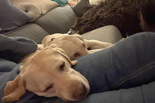 Klicke auf die Grafik für eine vergrößerte Ansicht  Name: IMG_0626.jpg Ansichten: 33 Größe: 75,8 KB ID: 1204491