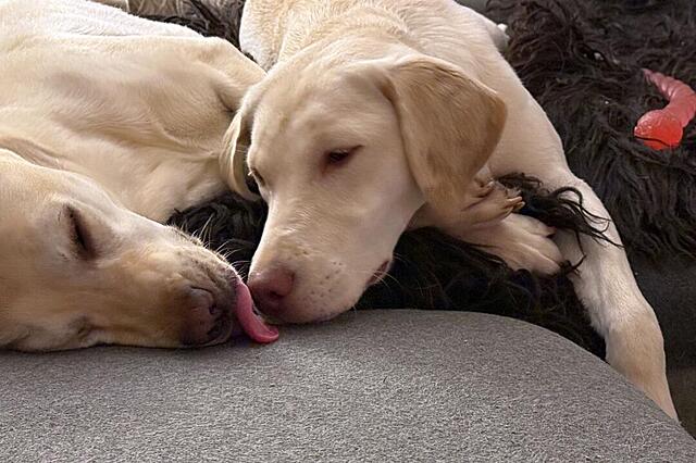 Klicke auf die Grafik für eine vergrößerte Ansicht  Name: IMG_1416.jpg Ansichten: 33 Größe: 106,1 KB ID: 1204492