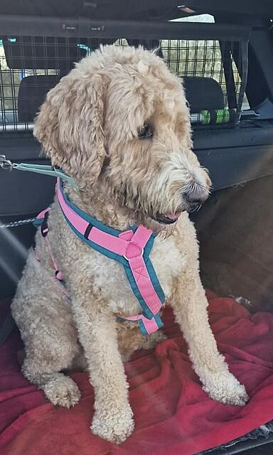 Klicke auf die Grafik für eine vergrößerte Ansicht

Name: 7bf47c03-b04f-43ff-8a9f-0b447af2b36a.jpg
Ansichten: 141
Größe: 140,0 KB
ID: 1204537