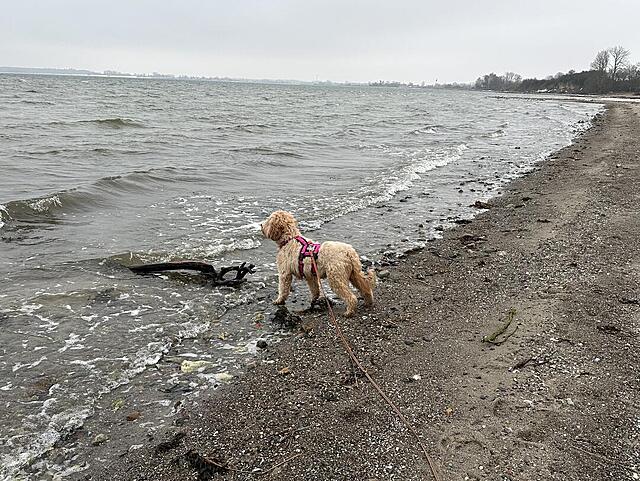 Klicke auf die Grafik für eine vergrößerte Ansicht  Name: IMG_2149.jpg Ansichten: 7 Größe: 235,9 KB ID: 1204612