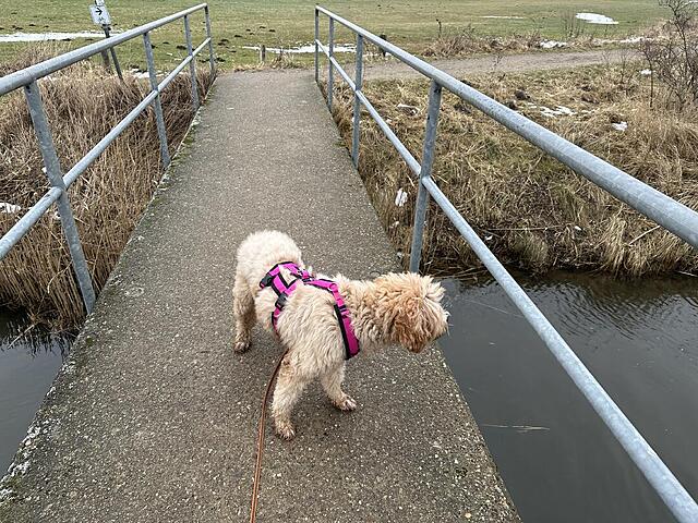 Klicke auf die Grafik für eine vergrößerte Ansicht  Name: IMG_2168.jpg Ansichten: 7 Größe: 230,6 KB ID: 1204613