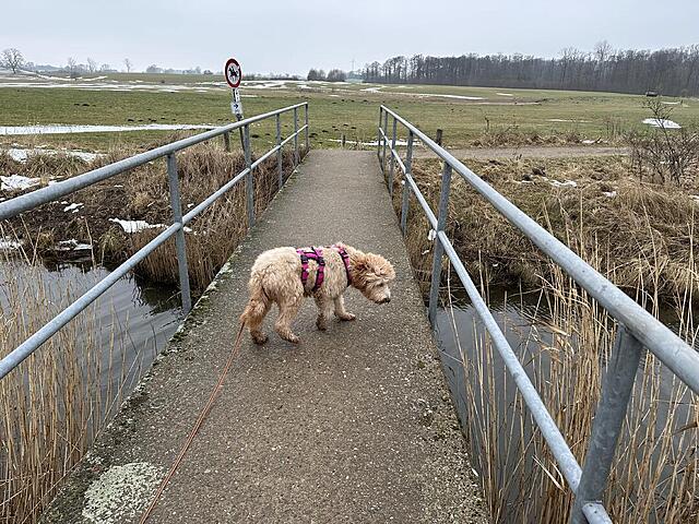 Klicke auf die Grafik für eine vergrößerte Ansicht  Name: IMG_2166.jpg Ansichten: 7 Größe: 228,5 KB ID: 1204614