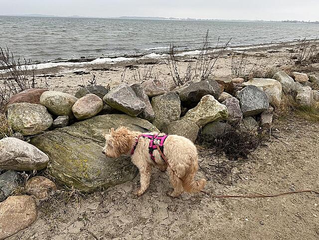 Klicke auf die Grafik für eine vergrößerte Ansicht  Name: IMG_2173.jpg Ansichten: 7 Größe: 260,3 KB ID: 1204616