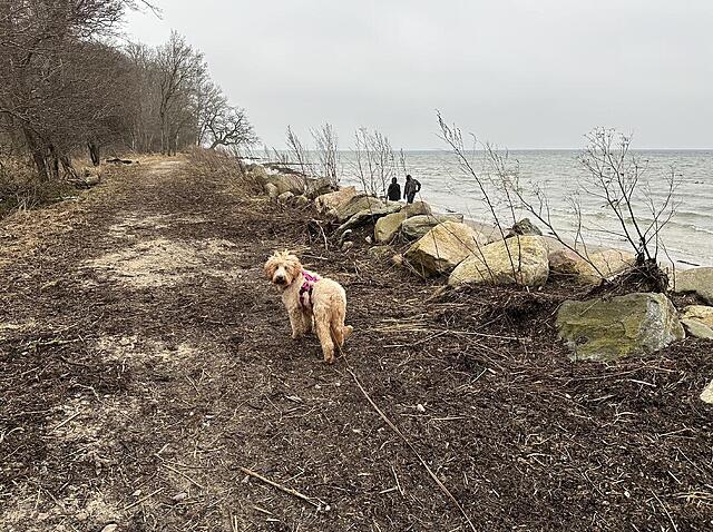 Klicke auf die Grafik für eine vergrößerte Ansicht  Name: IMG_2176.jpg Ansichten: 7 Größe: 270,1 KB ID: 1204617