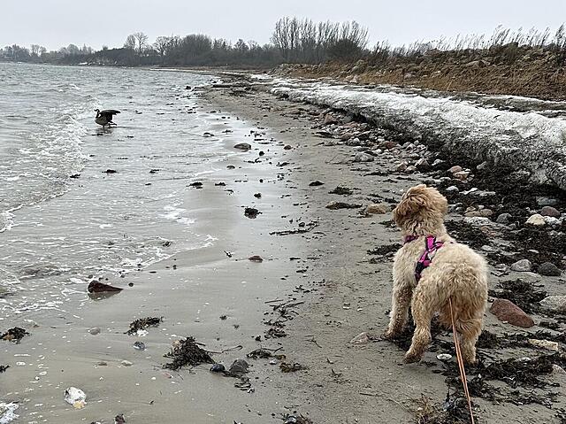 Klicke auf die Grafik für eine vergrößerte Ansicht  Name: IMG_2148.jpg Ansichten: 7 Größe: 202,2 KB ID: 1204619