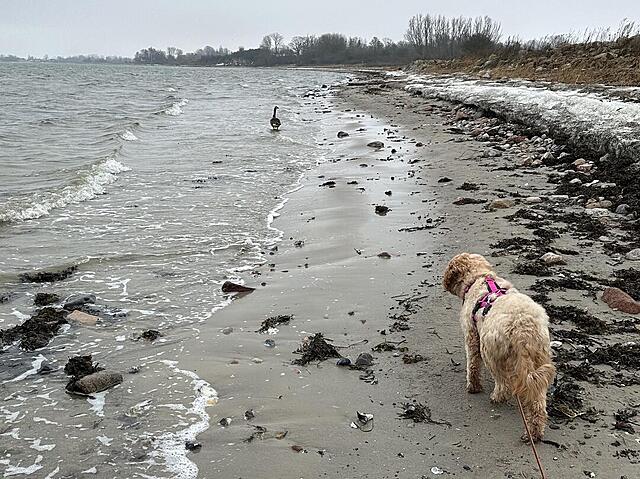 Klicke auf die Grafik für eine vergrößerte Ansicht  Name: IMG_2147.jpg Ansichten: 7 Größe: 195,6 KB ID: 1204620