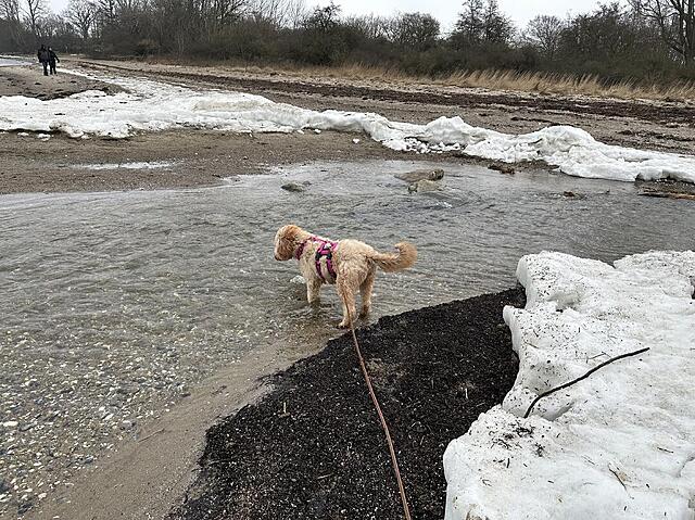 Klicke auf die Grafik für eine vergrößerte Ansicht  Name: IMG_2164.jpg Ansichten: 7 Größe: 232,1 KB ID: 1204623