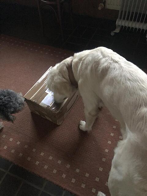 Klicke auf die Grafik für eine vergrößerte Ansicht  Name: IMG_4155.jpg Ansichten: 85 Größe: 74,4 KB ID: 1204802