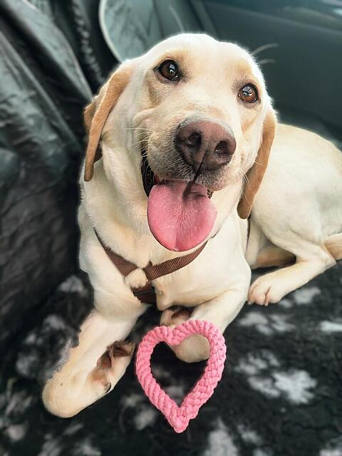 Klicke auf die Grafik für eine vergrößerte Ansicht  Name: 20260214_151518.jpg Ansichten: 0 Größe: 79,4 KB ID: 1204860