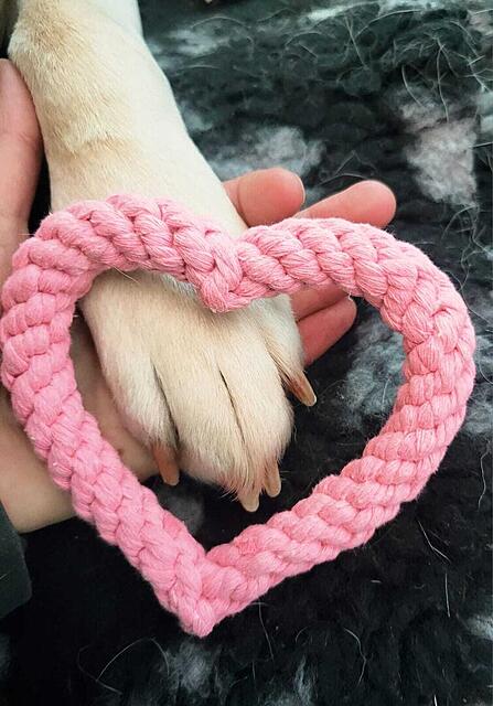 Klicke auf die Grafik für eine vergrößerte Ansicht  Name: WhatsApp Image 2026-02-14 at 15.53.16.jpg Ansichten: 0 Größe: 100,8 KB ID: 1204864