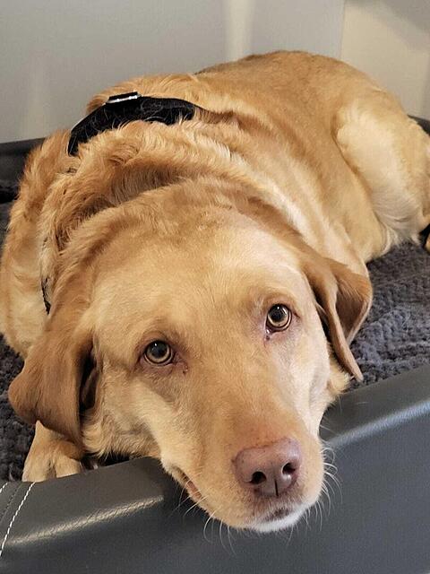 Klicke auf die Grafik für eine vergrößerte Ansicht  Name: PHOTO-2026-02-15-10-04-49.jpg Ansichten: 223 Größe: 92,5 KB ID: 1204913