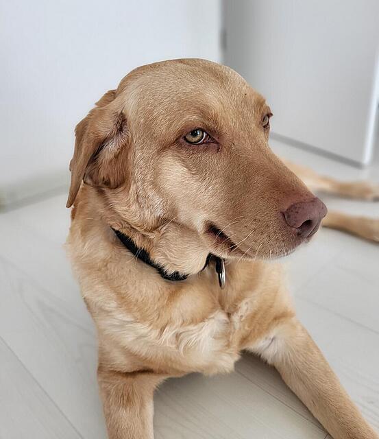 Klicke auf die Grafik für eine vergrößerte Ansicht

Name: Wolke 16.2.2026 4.jpg
Ansichten: 191
Größe: 83,3 KB
ID: 1204959