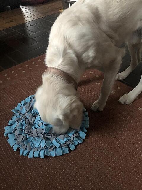 Klicke auf die Grafik für eine vergrößerte Ansicht  Name: IMG_4098.jpg Ansichten: 65 Größe: 96,2 KB ID: 1204968