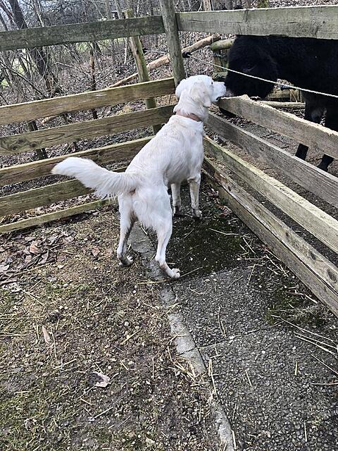 Klicke auf die Grafik für eine vergrößerte Ansicht  Name: IMG_4120.jpg Ansichten: 65 Größe: 287,1 KB ID: 1204970