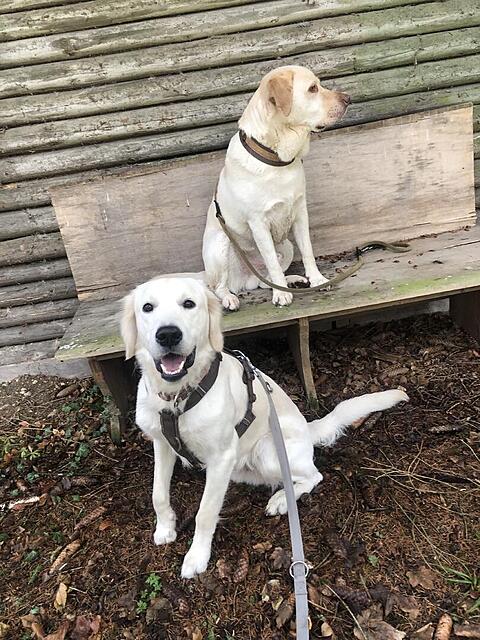 Klicke auf die Grafik für eine vergrößerte Ansicht  Name: IMG_4140.jpg Ansichten: 65 Größe: 178,2 KB ID: 1204973