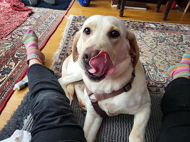 Klicke auf die Grafik für eine vergrößerte Ansicht  Name: 20260216_113552.jpg Ansichten: 0 Größe: 156,8 KB ID: 1205079