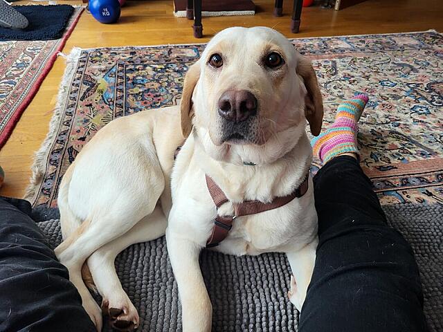 Klicke auf die Grafik für eine vergrößerte Ansicht  Name: 20260216_113543.jpg Ansichten: 0 Größe: 143,4 KB ID: 1205081