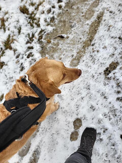 Klicke auf die Grafik für eine vergrößerte Ansicht

Name: Wolke 17.02.2026 2.jpg
Ansichten: 396
Größe: 108,9 KB
ID: 1205158