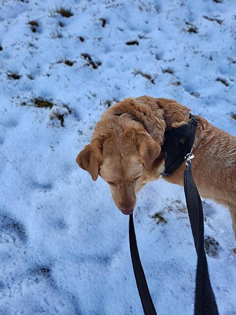 Klicke auf die Grafik für eine vergrößerte Ansicht

Name: Wolke 17.2.2026 3.jpg
Ansichten: 390
Größe: 93,8 KB
ID: 1205159