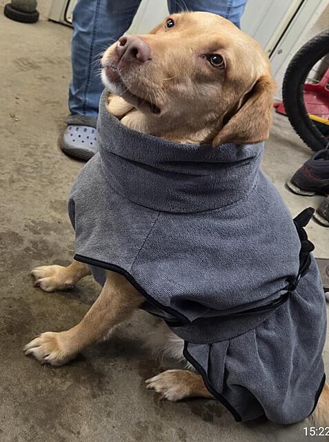 Klicke auf die Grafik für eine vergrößerte Ansicht

Name: Wolke 14.2.2026 2.jpg
Ansichten: 378
Größe: 117,3 KB
ID: 1205160