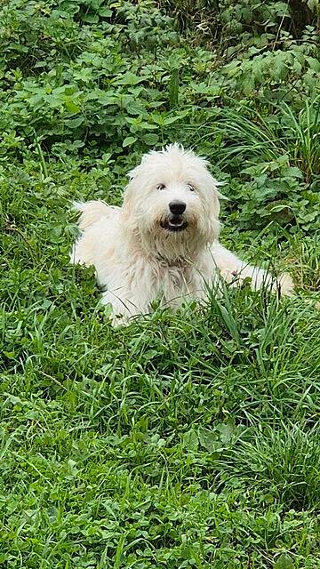 Klicke auf die Grafik für eine vergrößerte Ansicht

Name: Nelly50 #1734 05.25.jpg
Ansichten: 88
Größe: 188,0 KB
ID: 1205165