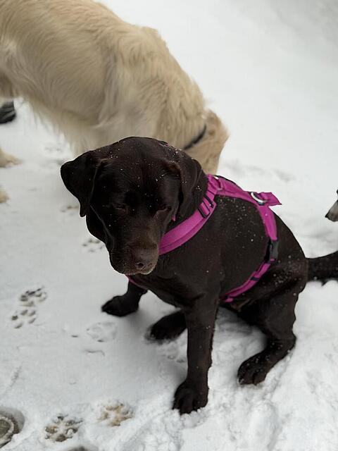 Klicke auf die Grafik für eine vergrößerte Ansicht

Name: image_78855.jpg
Ansichten: 739
Größe: 54,6 KB
ID: 1205255