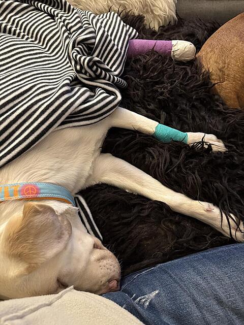 Klicke auf die Grafik für eine vergrößerte Ansicht  Name: IMG_1799.jpg Ansichten: 0 Größe: 154,8 KB ID: 1205316