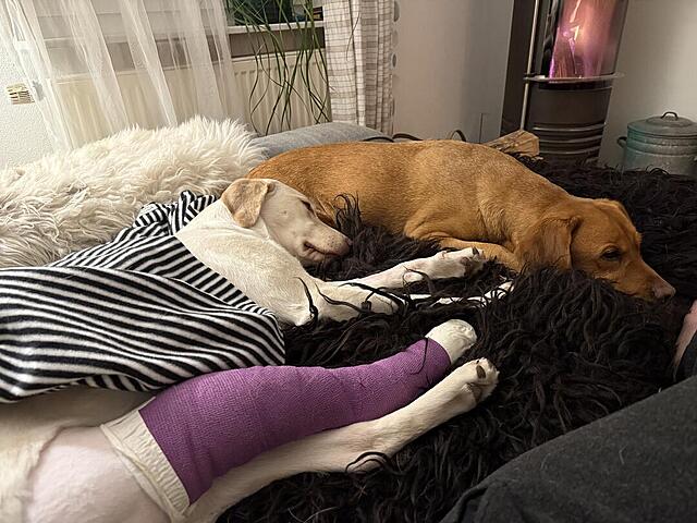 Klicke auf die Grafik für eine vergrößerte Ansicht  Name: IMG_1804.jpg Ansichten: 0 Größe: 132,4 KB ID: 1205317