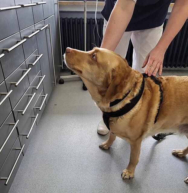 Klicke auf die Grafik für eine vergrößerte Ansicht

Name: Impfen 1.jpg
Ansichten: 213
Größe: 156,1 KB
ID: 1205344