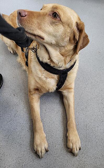 Klicke auf die Grafik für eine vergrößerte Ansicht

Name: Impfen 4.jpg
Ansichten: 207
Größe: 120,1 KB
ID: 1205345