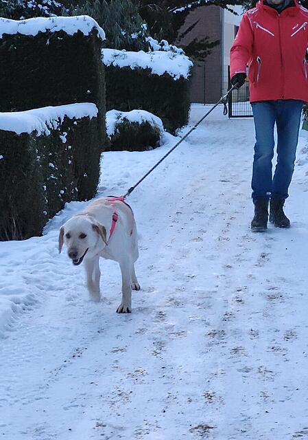 Klicke auf die Grafik für eine vergrößerte Ansicht  Name: 20260218_174814.jpg Ansichten: 0 Größe: 102,6 KB ID: 1205366