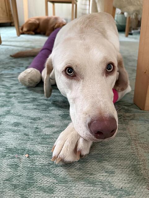 Klicke auf die Grafik für eine vergrößerte Ansicht  Name: IMG_1857.jpg Ansichten: 0 Größe: 113,1 KB ID: 1205512