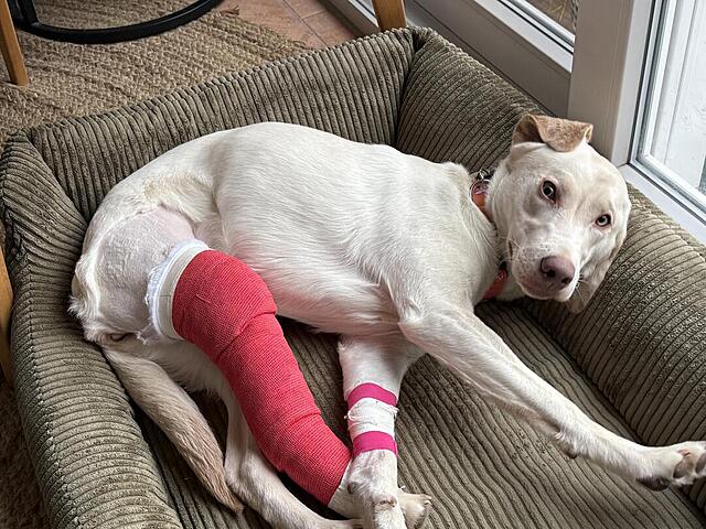 Klicke auf die Grafik für eine vergrößerte Ansicht  Name: IMG_1934.jpg Ansichten: 0 Größe: 180,4 KB ID: 1205516