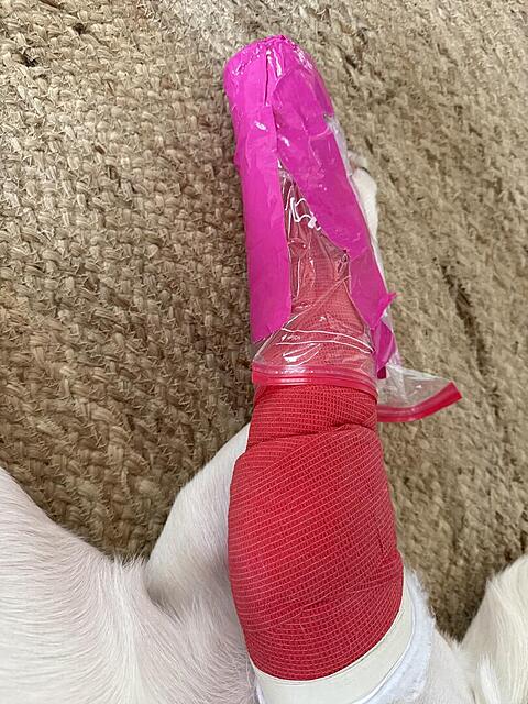 Klicke auf die Grafik für eine vergrößerte Ansicht  Name: IMG_1912.jpg Ansichten: 0 Größe: 156,1 KB ID: 1205517