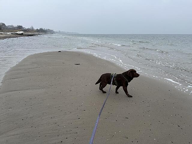 Klicke auf die Grafik für eine vergrößerte Ansicht  Name: IMG_2082.jpg Ansichten: 3 Größe: 97,4 KB ID: 1205645