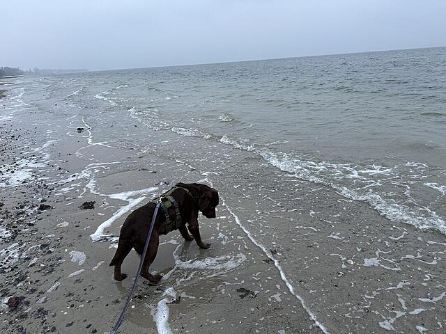 Klicke auf die Grafik für eine vergrößerte Ansicht  Name: IMG_2086.jpg Ansichten: 3 Größe: 144,4 KB ID: 1205646