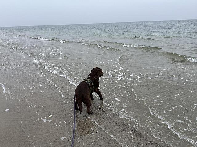 Klicke auf die Grafik für eine vergrößerte Ansicht  Name: IMG_2083.jpg Ansichten: 3 Größe: 137,6 KB ID: 1205648