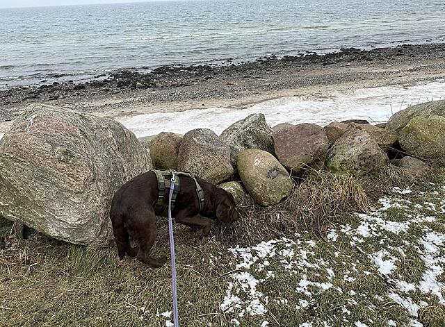 Klicke auf die Grafik für eine vergrößerte Ansicht  Name: IMG_2069.jpg Ansichten: 3 Größe: 270,8 KB ID: 1205650