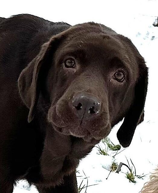 Klicke auf die Grafik für eine vergrößerte Ansicht

Name: IMG_2042.jpg
Ansichten: 87
Größe: 69,5 KB
ID: 1205652