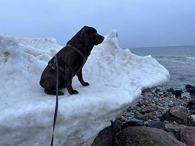 Klicke auf die Grafik für eine vergrößerte Ansicht

Name: IMG_2094.jpg
Ansichten: 87
Größe: 105,8 KB
ID: 1205653