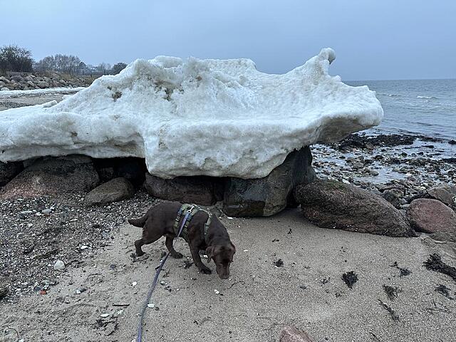 Klicke auf die Grafik für eine vergrößerte Ansicht

Name: IMG_2090.jpg
Ansichten: 86
Größe: 185,9 KB
ID: 1205655