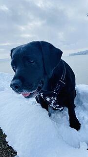 Klicke auf die Grafik für eine vergrößerte Ansicht  Name: IMG_3251 (1).jpg Ansichten: 55 Größe: 46,0 KB ID: 1205737