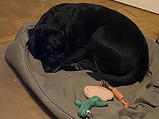 Klicke auf die Grafik für eine vergrößerte Ansicht  Name: IMG_3195.jpg Ansichten: 55 Größe: 91,4 KB ID: 1205739