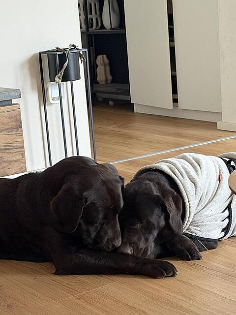 Klicke auf die Grafik für eine vergrößerte Ansicht  Name:  Ansichten: 84 Größe: 100,3 KB ID: 1205819